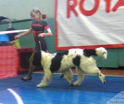 Фотография № 117648