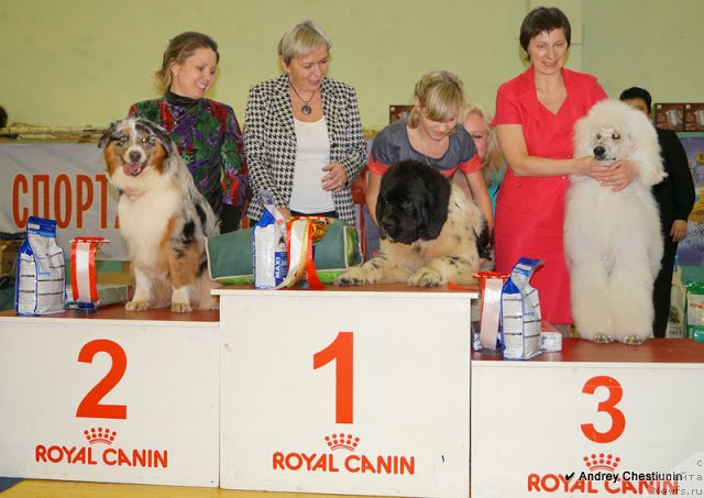 Фотография № 117651