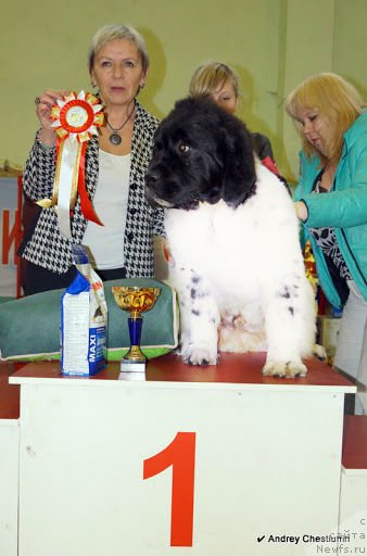 Фотография № 117654