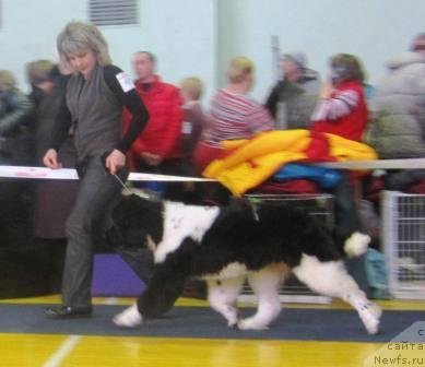 Фотография № 117655