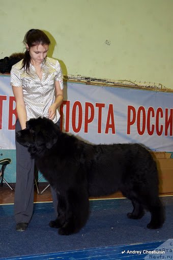 Фотография № 117656