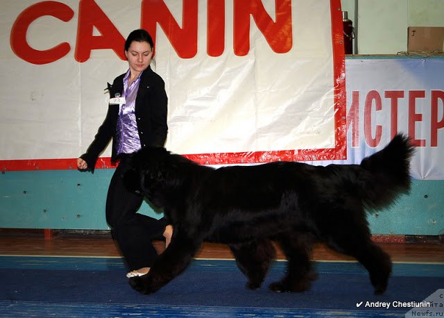 Фотография № 117661