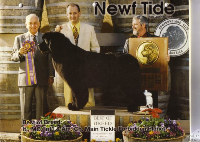 Фото: ньюфаундленд Main Tickle Forbidden Planet