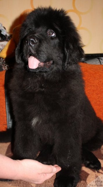 Фотография № 117665