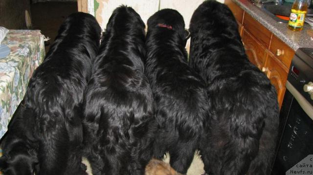 Фотография № 11772