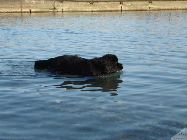 Фотография № 11774