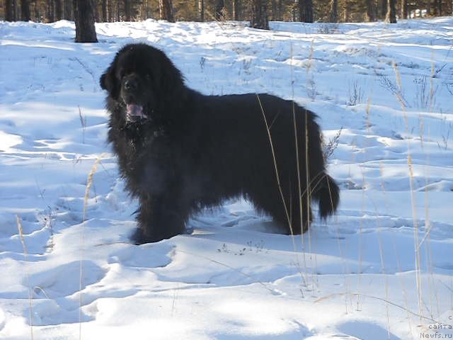 Фотография № 117746