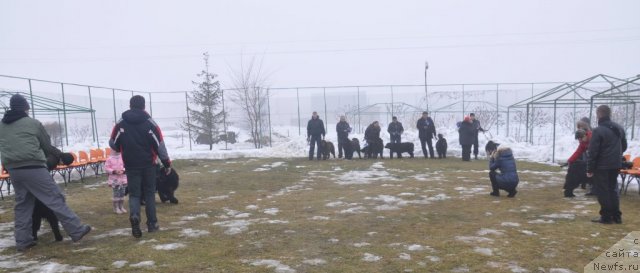 Фотография № 117758