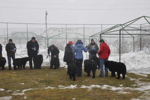 Фотография № 117761