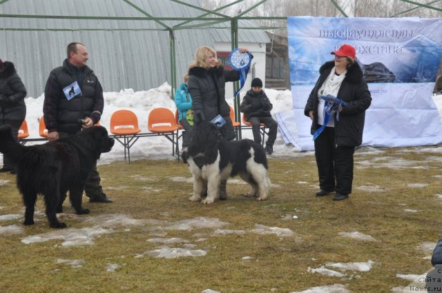 Фотография № 117795