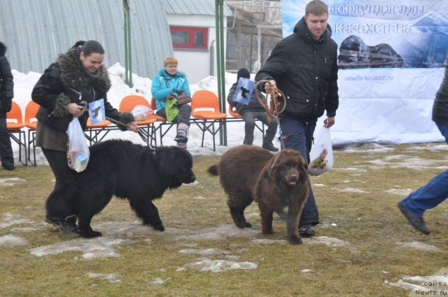 Фотография № 117797