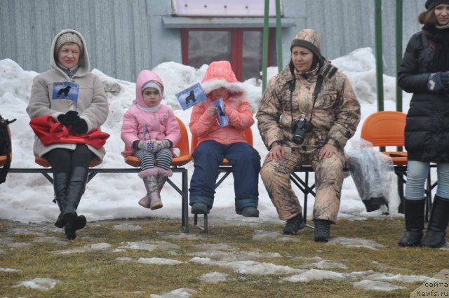 Фотография № 117798