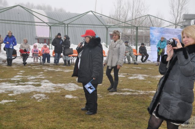 Фотография № 117800