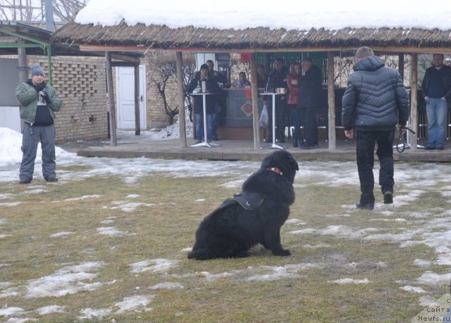 Фотография № 117801