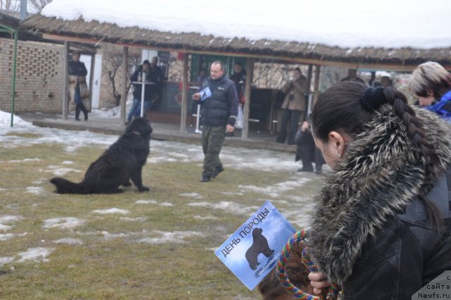 Фотография № 117803