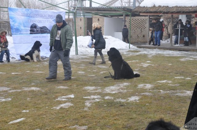 Фотография № 117804