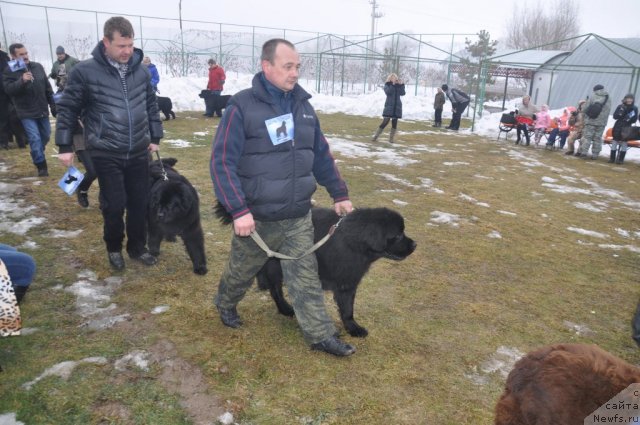 Фотография № 117805