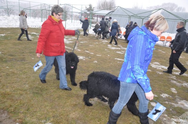 Фотография № 117808