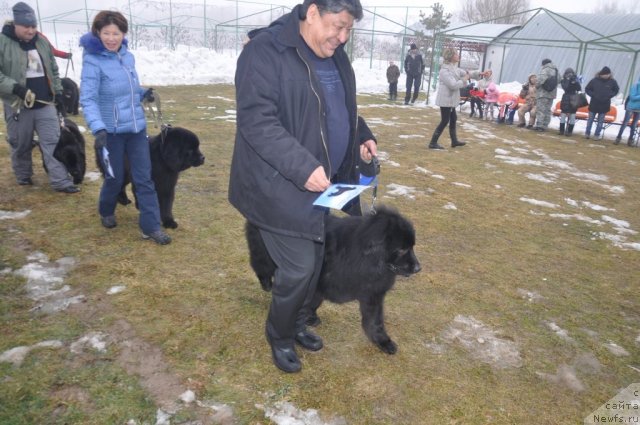 Фотография № 117809