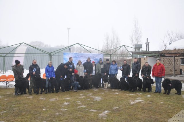 Фотография № 117810