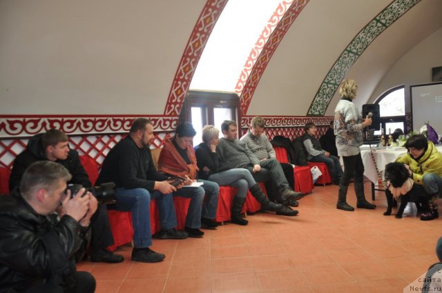 Фотография № 117812