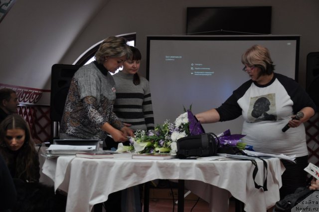 Фотография № 117816