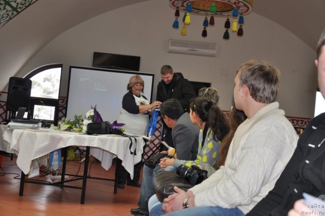 Фотография № 117819