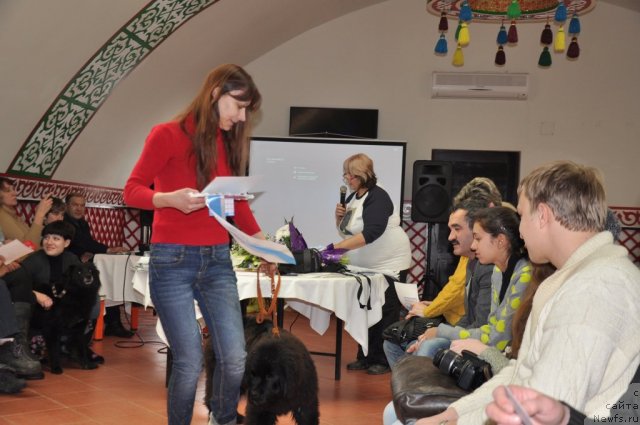 Фотография № 117820