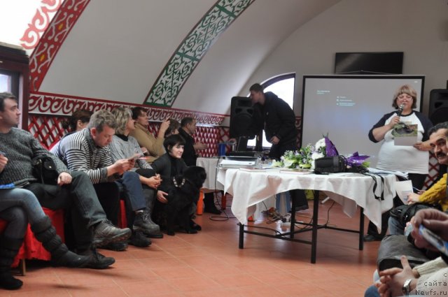 Фотография № 117827