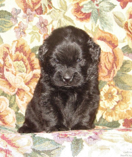 Фотография № 117832