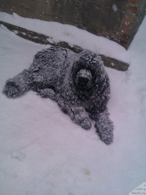 Фотография № 117840