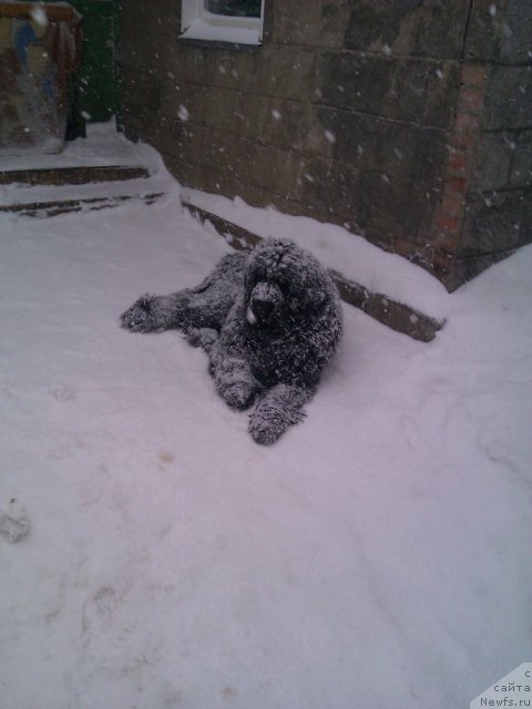 Фотография № 117841