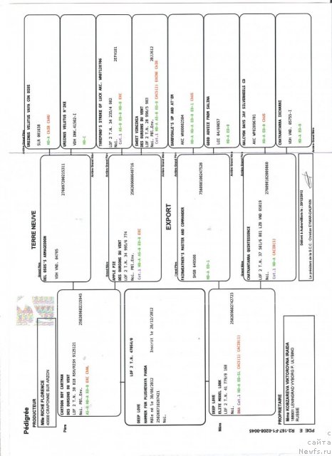 Фото: Ираида Кобзарева