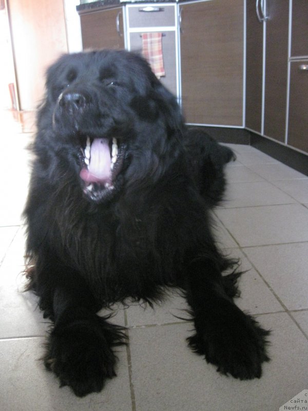 Фотография № 117930