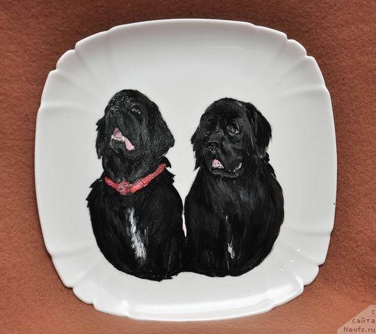 Фото: ньюфаундленд Арх Бьюти Одри Вольная Птица, ньюфаундленд Фиаметтахауз Нусакан