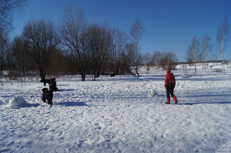 Фотография № 117963