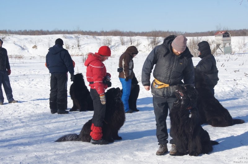 Фотография № 117965