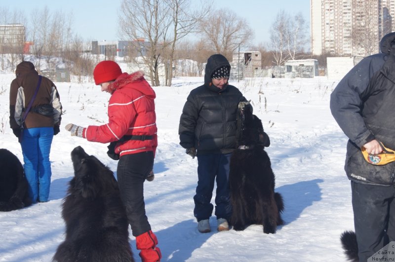 Фотография № 117966