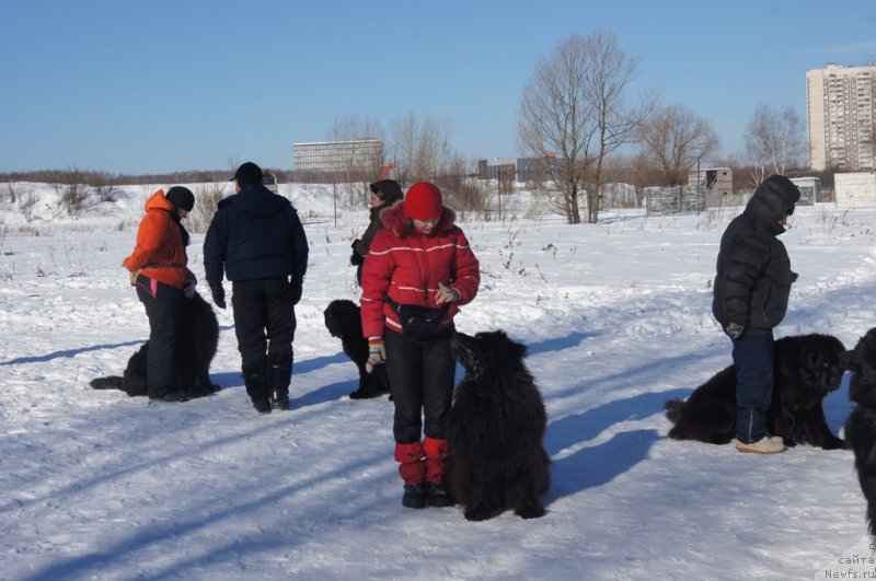 Фотография № 117967