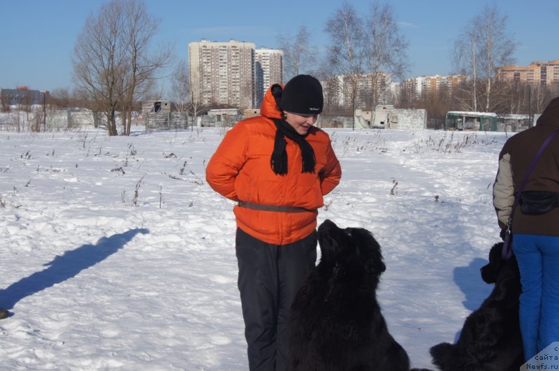 Фотография № 117969