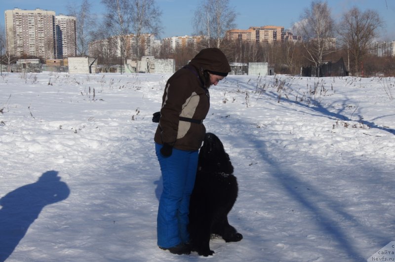 Фотография № 117970