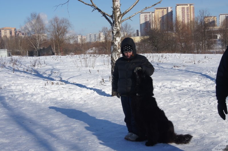 Фотография № 117971