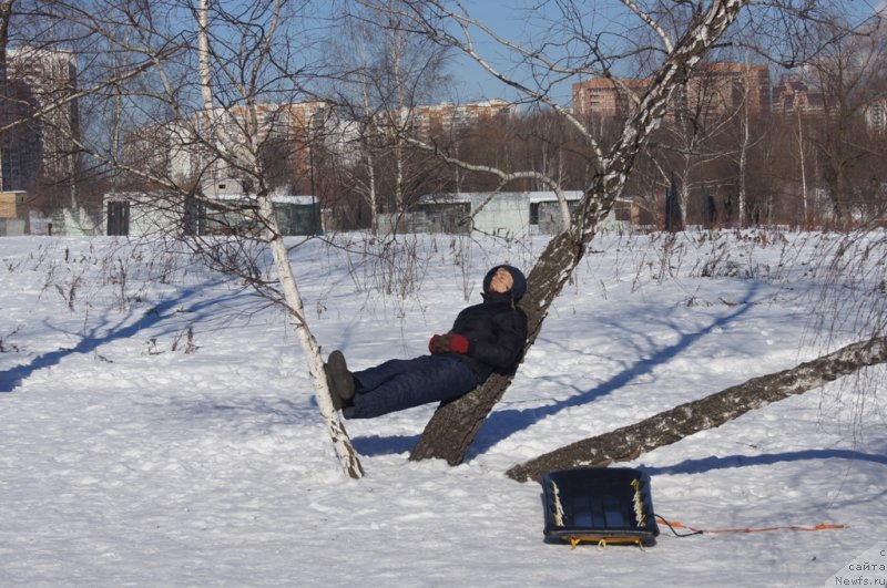 Фотография № 117973