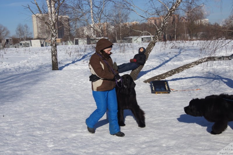 Фотография № 117975