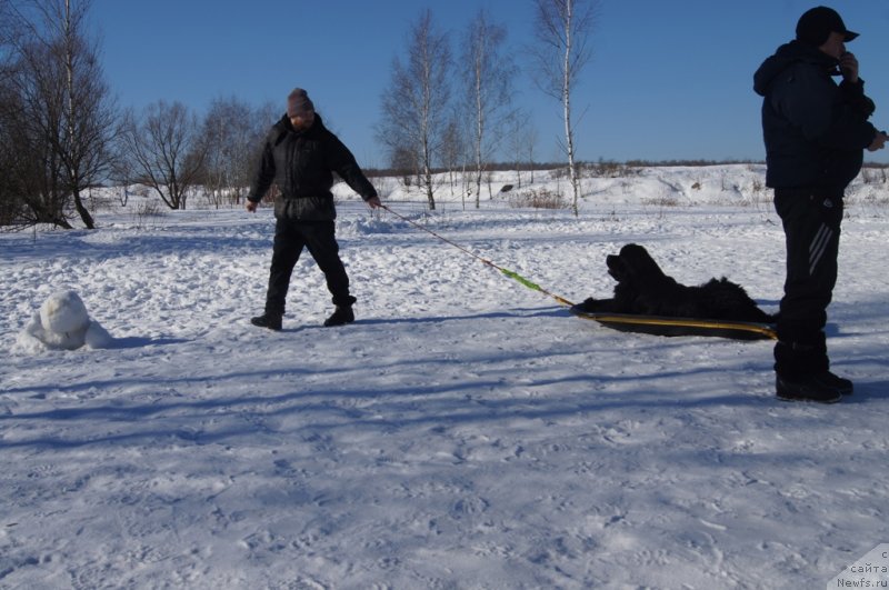 Фотография № 117978