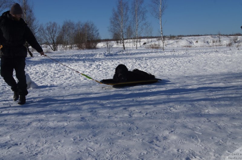 Фотография № 117979