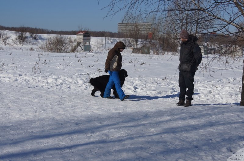 Фотография № 117984