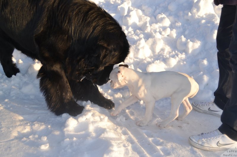 Фотография № 117993