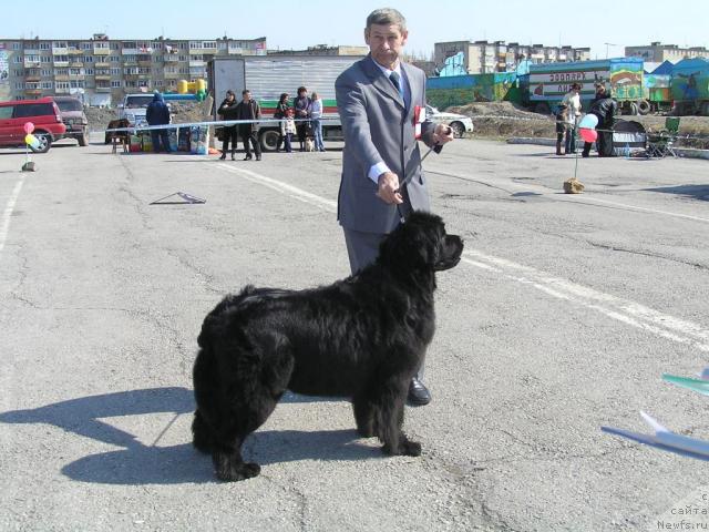 Фотография № 11800