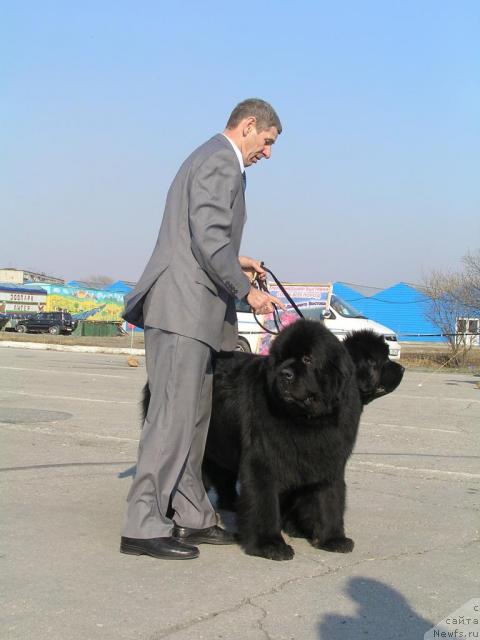 Фотография № 11802